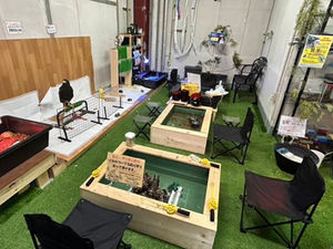 かわいい動物たちと過ごす癒やし時間