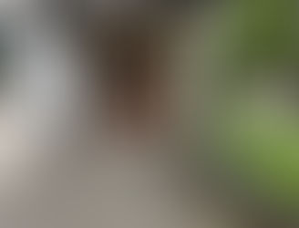 認知症ケアに特化したグループホーム