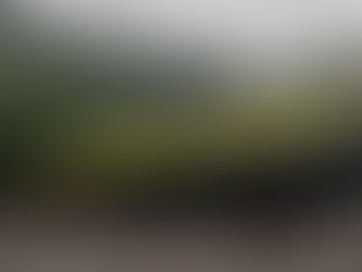 バタバタを忘れてリフレッシュ