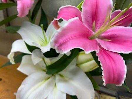 贈り物にも自宅用にも