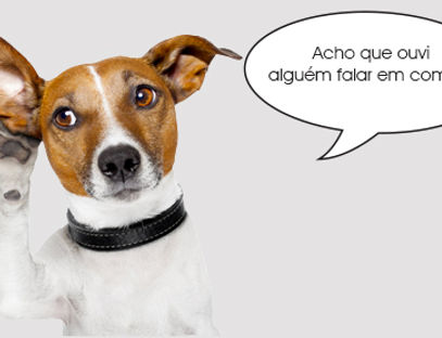 57d7e55c74c72a9fa4b7e305c752eabdfcbb72b0