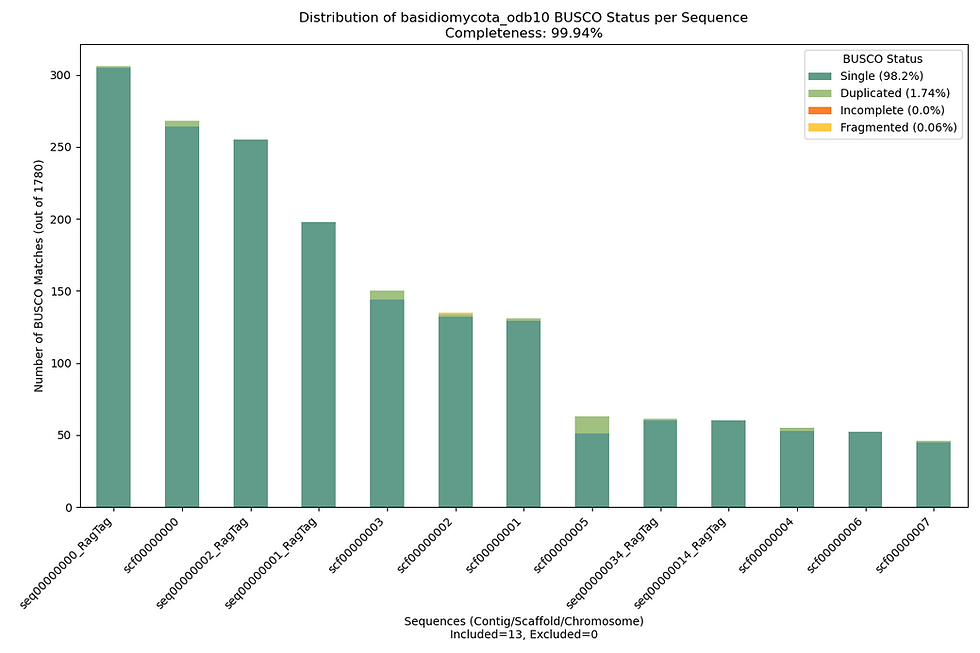 Example BUSCO/Compleasm Graph