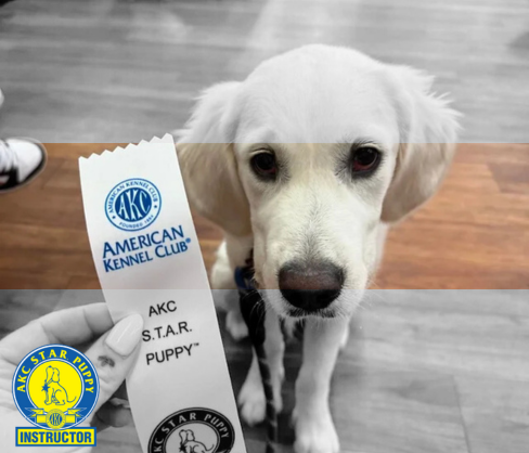 Untitled design (60).png