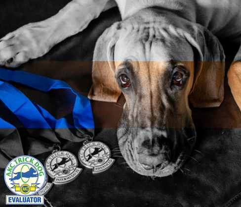 Untitled design (53).png