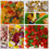 Thumbnail: Custom Mix -300g