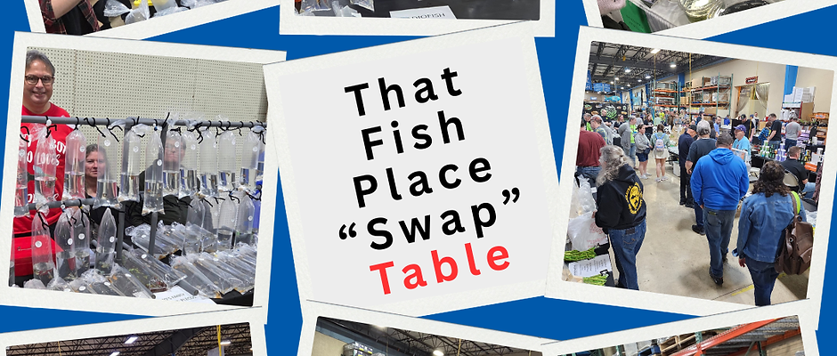 Vendor Table: Freshwater SWAP at ThatFishPlace March 21st