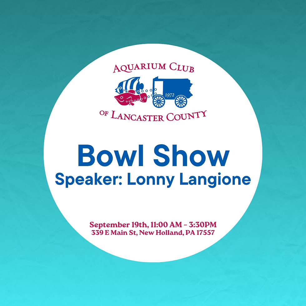 2026 Bowl Show