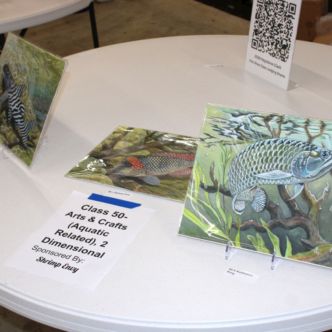 Class 51 - Arts & Crafts (Aquatic Related), 2 Dimensional