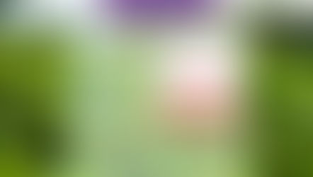 'TeaSoft' mobile app released to prevent tea smuggling, ensure revenue collection