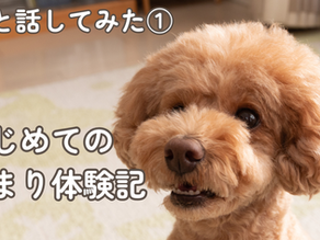 【♯1愛犬の気持ちを聞いてみた】はじめてのお泊り体験〜1泊2日編〜
