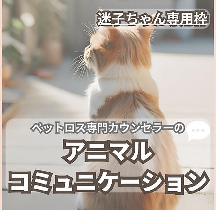 IGココナラ画像 (300 × 250 (Instagramの投稿)　迷子　ｈｐ　チャット.png