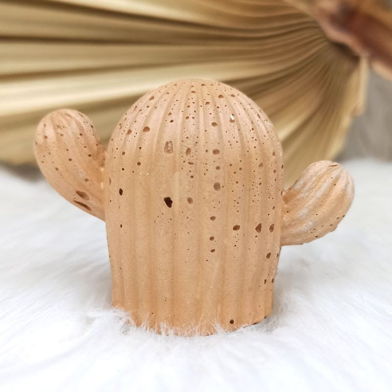 Miniatura: Mini Cactos de Cimento