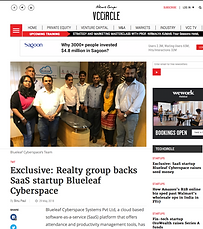 blueleaf cyber 2.png