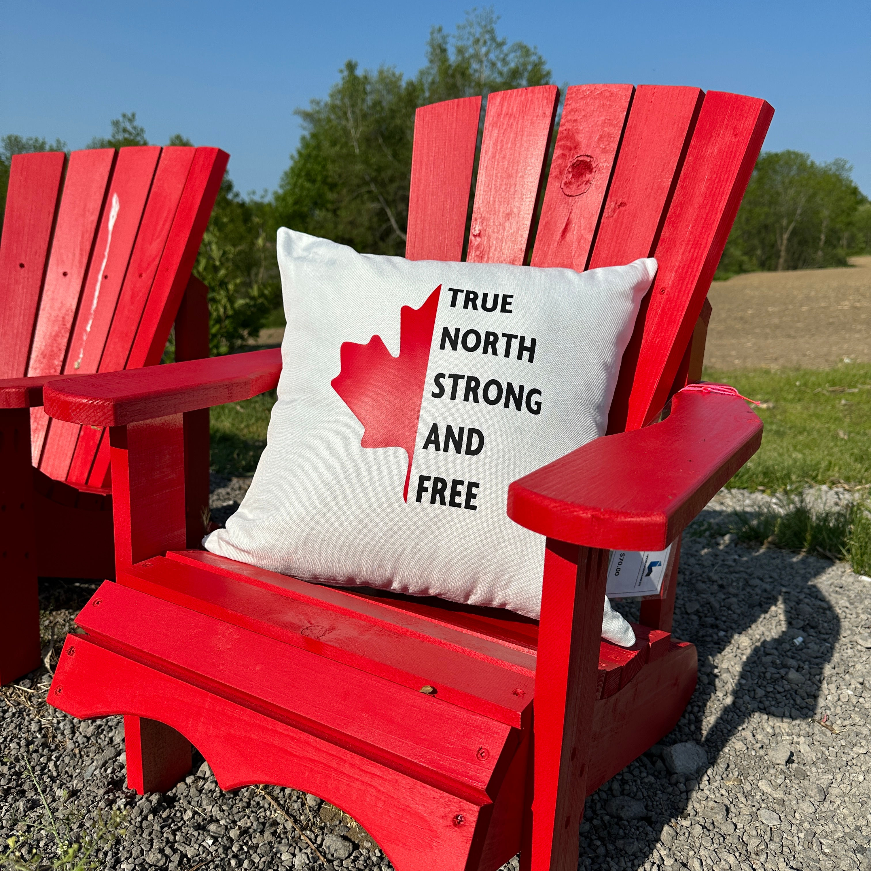 True North