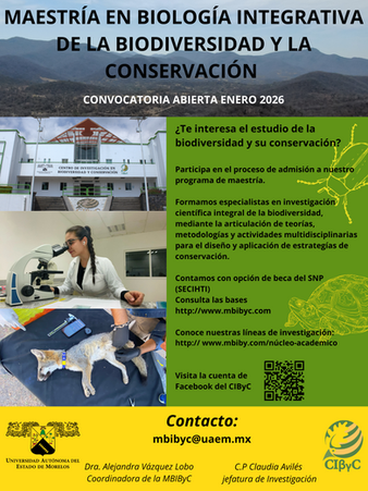 CONVOCATORIA ABIERTA ENERO 2026
