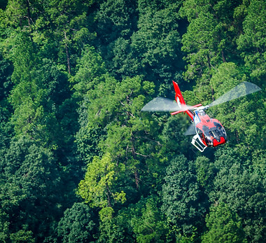 Ent.Pico Duate en Helicoptero.jpeg