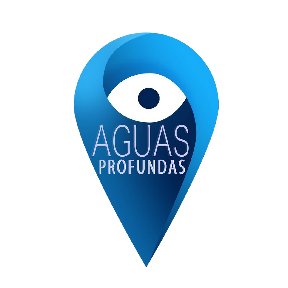 AP Logo Clean.png