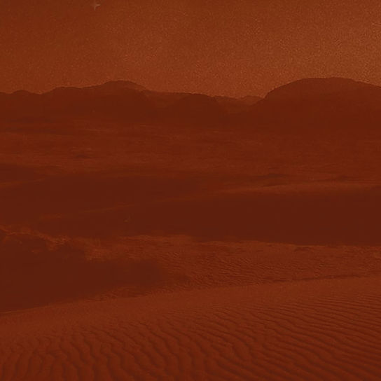 LOGOS DECLINAISONS-03.jpg