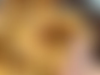 Pork & Apple Focaccia w Fennel and Fontina