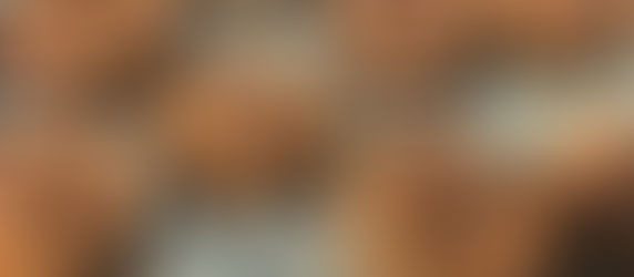 Schwarzwälder Kirschplätzchen ca. 24 Stück