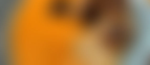 Hackbällchen mit Bohnenmus und Paprika-Sauce