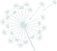 dandelion_light green.png
