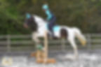 Rosewood Eventers Challenge