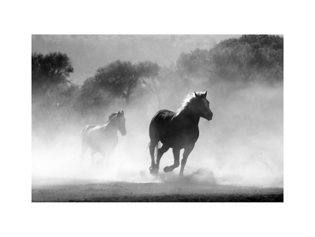 3 segredos para desenvolver a intuição