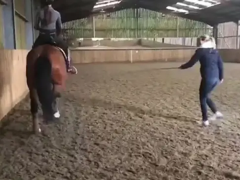 Atleta campeã olímpica é suspensa do hipismo após ser flagrada chicoteando cavalo