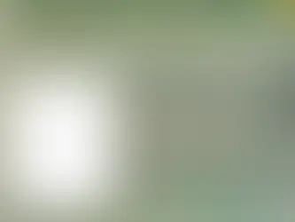 AL-BA aprova projeto estadual de ampliação ao acesso à habilitação na Bahia