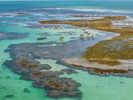 Nova edição do Tour das Ilhas terá navegação de Salvador até Boipeba