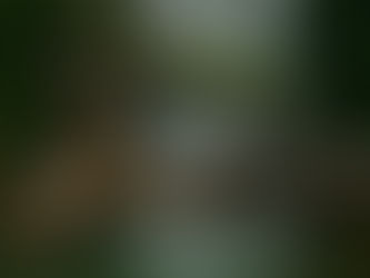 Igrapiúna: A “Cidade do Prefeito Tartaruga” e a Ironia de Viver Sem Água