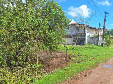 Prefeitura de Valença faz vistoria em área de manguezal na Rua Maestro Barrinha, na Graça