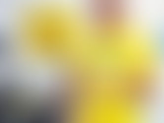 CÂMARA DE CAIRU CONCEDE CIDADANIA CAIRUENSE A CLÁUDIO CACAU