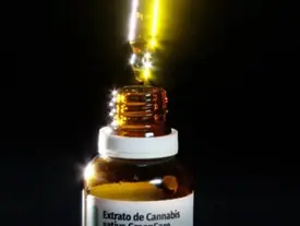Autorizações para importação de cannabis aumentam 29% em 2026