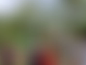 DOMINGO COM DESAFIO TRAIL RUN NA ALDEIA DE SÃO FIDÉLIS