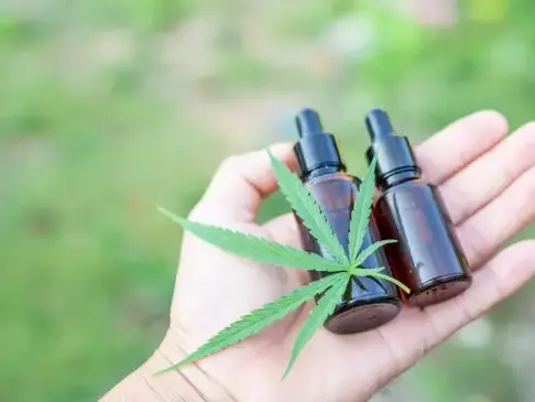 Importação de produtos a base de cannabis cresce 93% em 12 meses