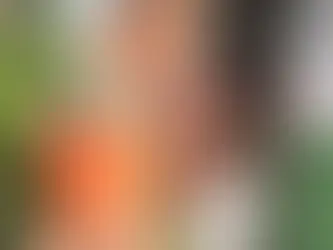 Após polêmica nas redes sociais, Stanley confirma presença de chumbo em copos térmicos