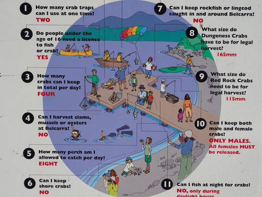 Belcarra 釣魚捉螃蟹規則