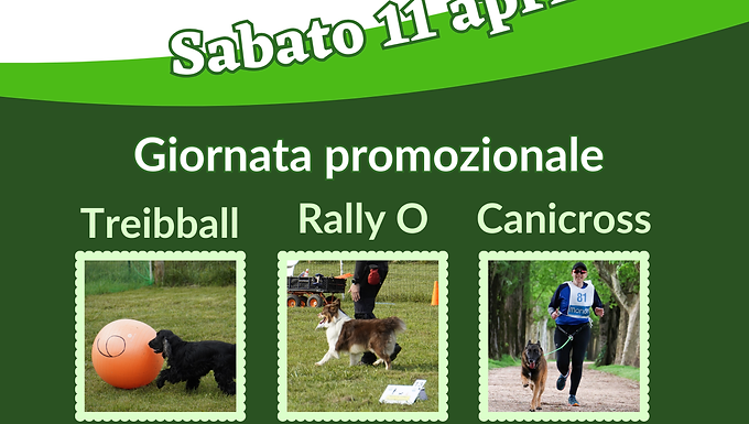 Promozione Sport