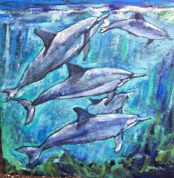 19756430_1406339589452372_7041527264918299550_n