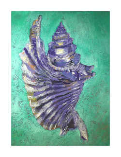shell