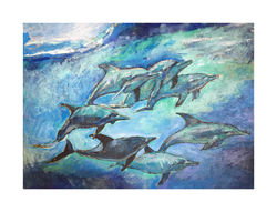Dolphin