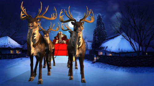 SANTA IN SLEIGH WITH REINDEER DVD | virtualsanta