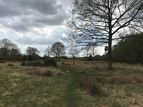 IMG_6613.JPG