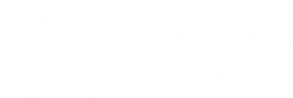 Logo Lusilectra (2).png