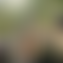 EP17_분산식물, Scatter Plants