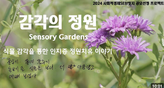 (NEW_영상) 식물 감각을 통한 인지증 정원치유 여정 in 2025 (2024년도 사회적경제SE브릿지 공모 선정 프로젝트)