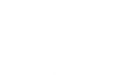 Dryden Fibre Logo White_edited_edited.pn