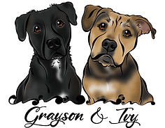 Grayson & Ivy PAWfect Portrait_1.jpg